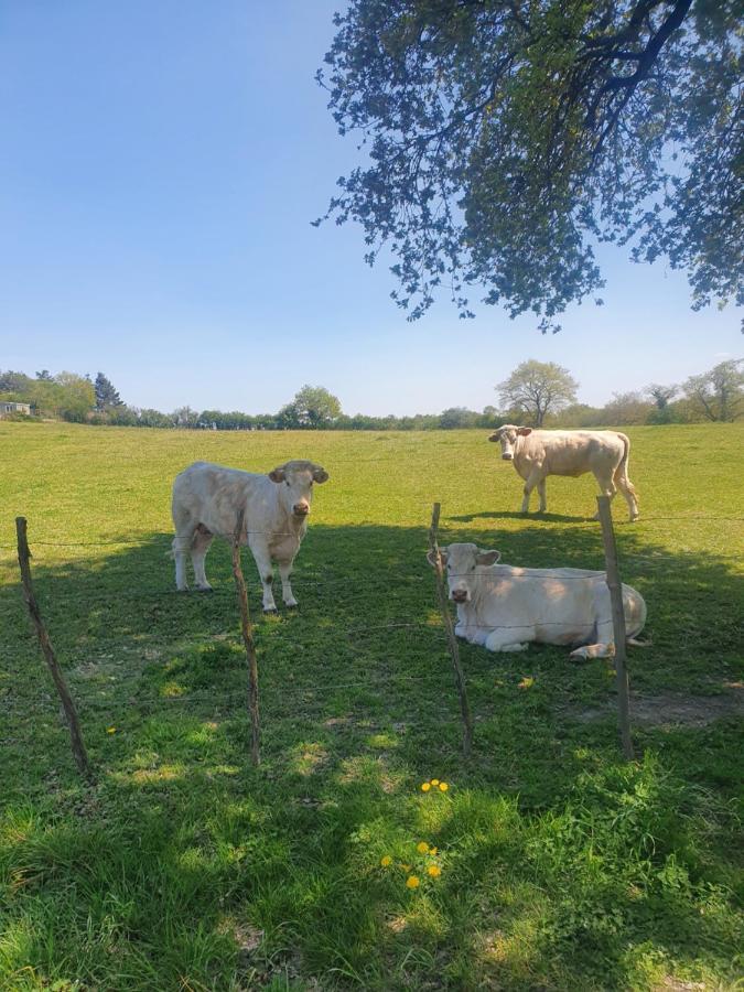 Villa Fleur de Lys au Puy du Fou - StayinVendee La Gaubretiere Extérieur photo